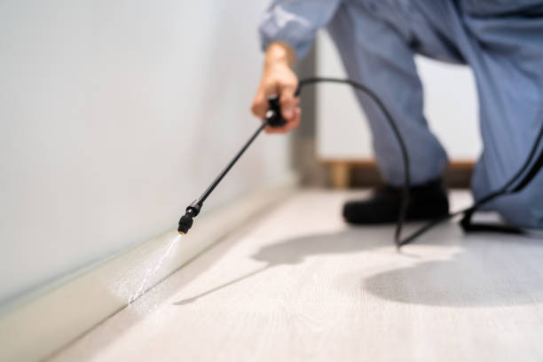Licensed Pest Control service in Concord, NH - Show Me Pest Control